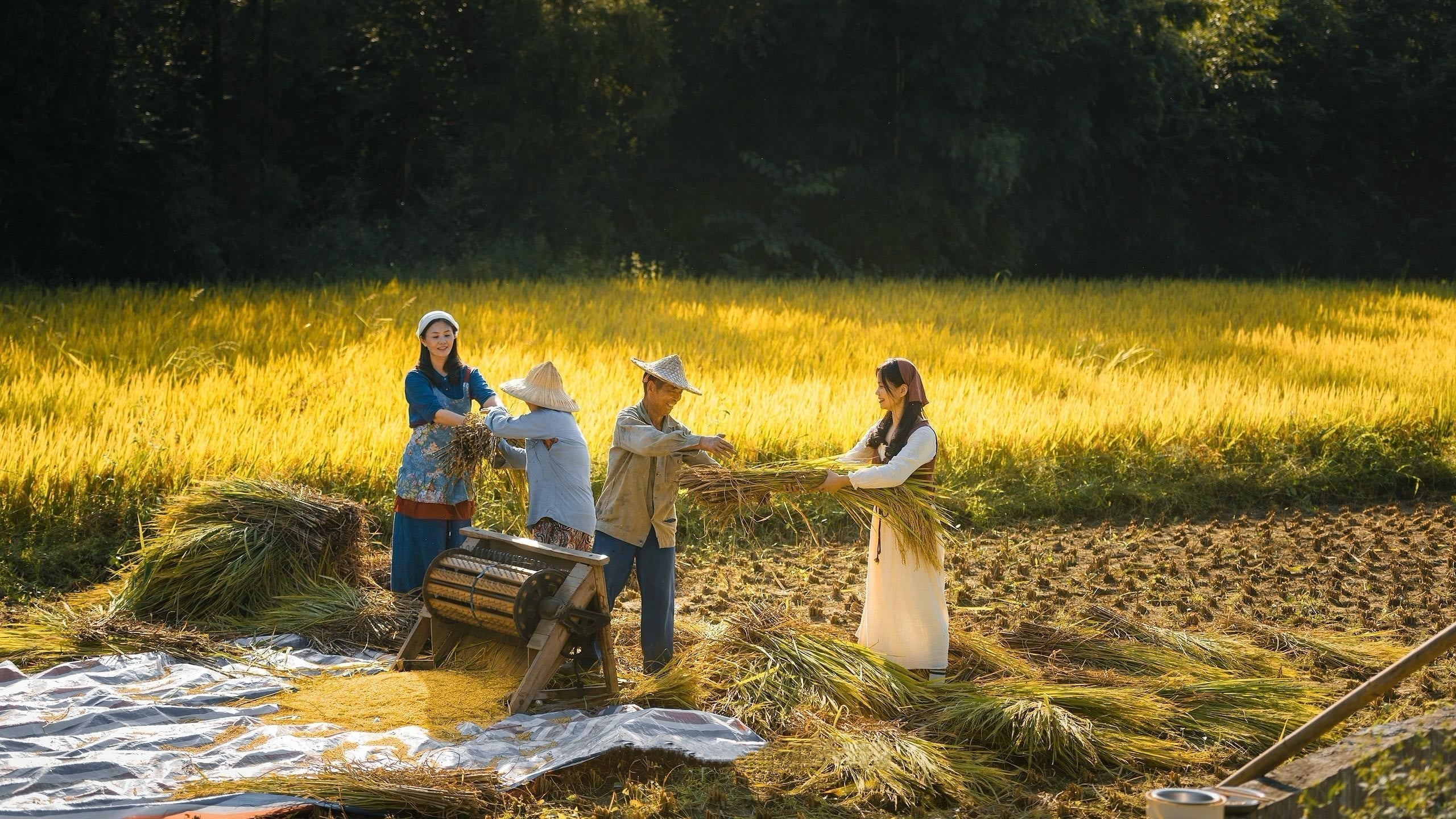 A Grain of Rice, A Journey to Your Fingertips