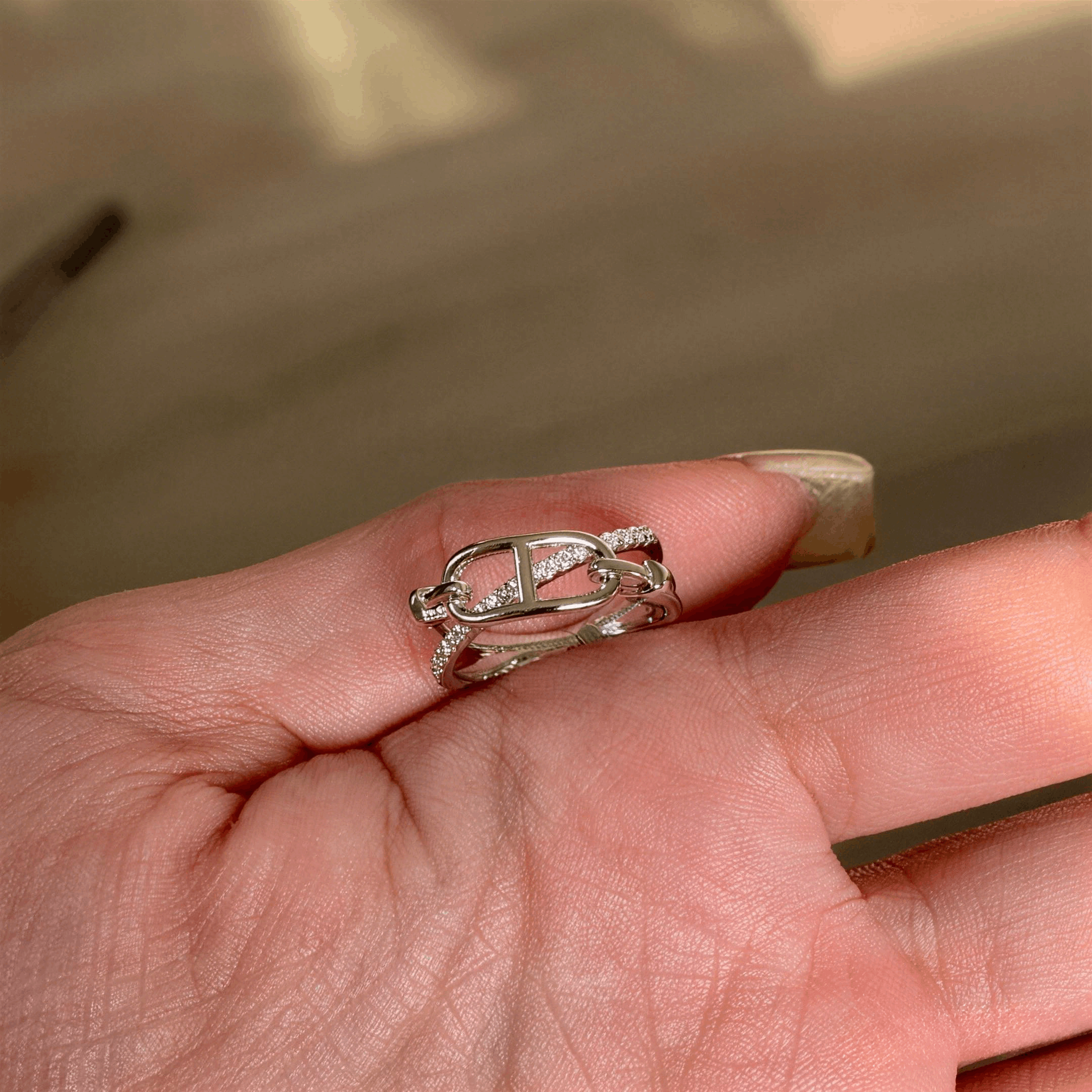 Pig Nose Link Ring