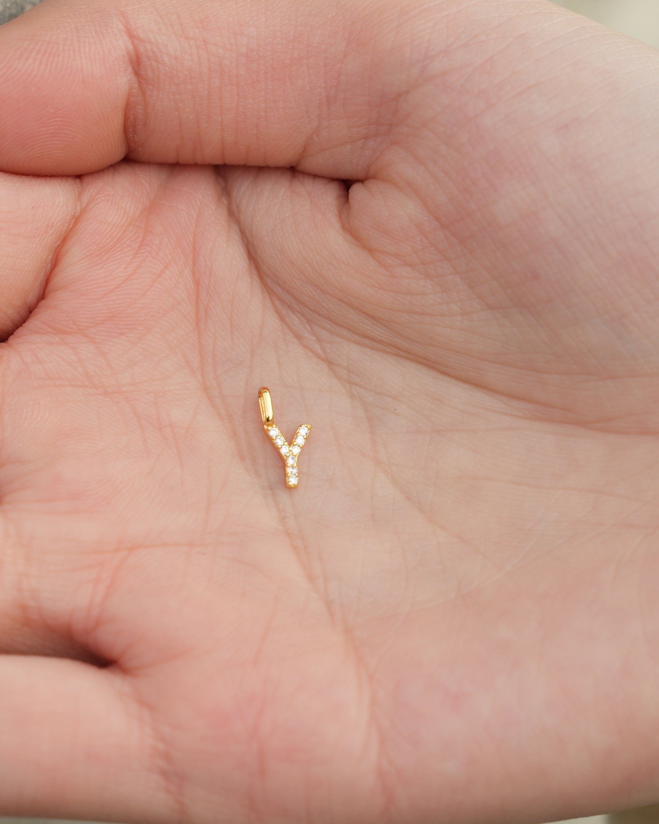 Zircon Initial Y Charm