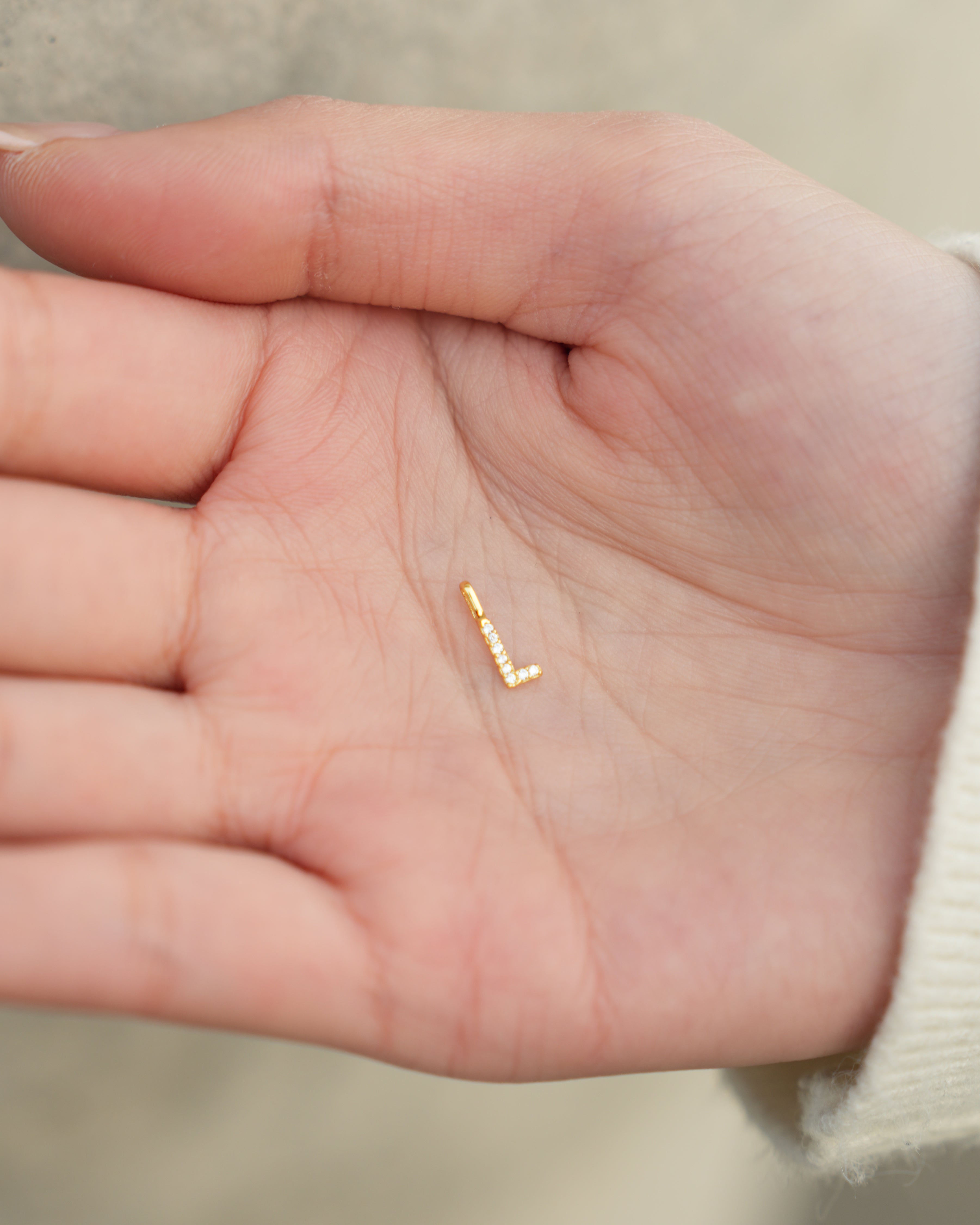 Zircon Initial L Charm